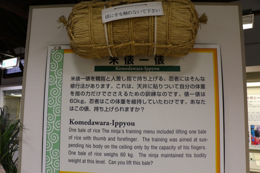 20150227-20-010 - A Bale of Rice